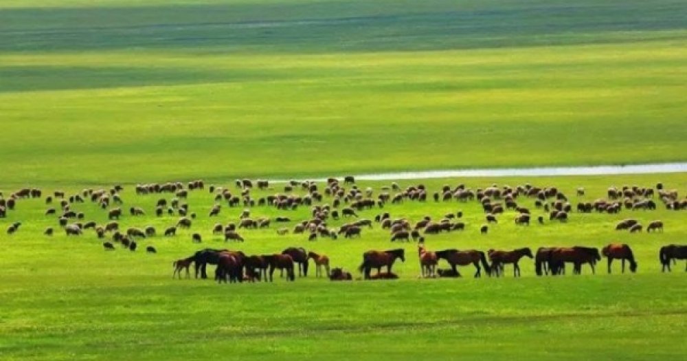 өмнөх мэдээ