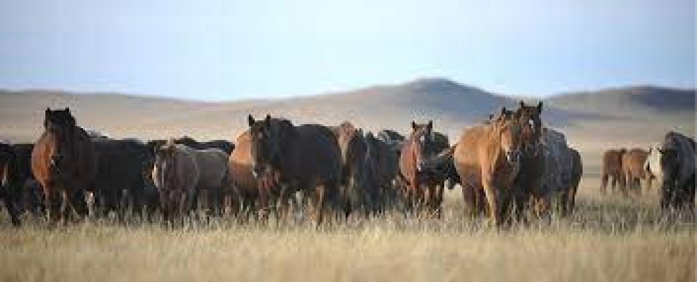 өмнөх мэдээ