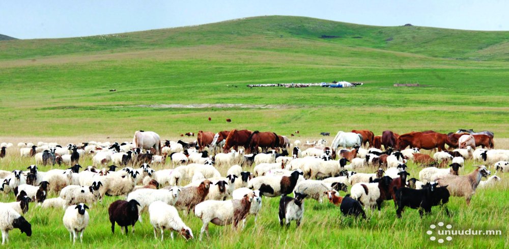 Бэлчээр ашиглалтын нөлөөг хянах фото мониторингийн үндэсний тайлан