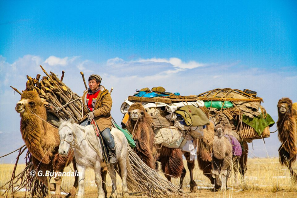 Бэлчээрийн газрыг экологийн чадавхаар зураглах заавар